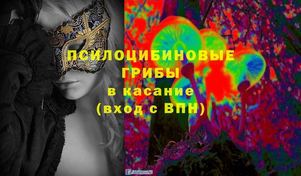 тгк Алзамай