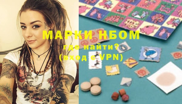 мет Алексин