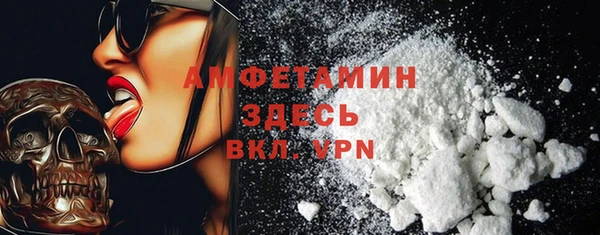 мет Алексин